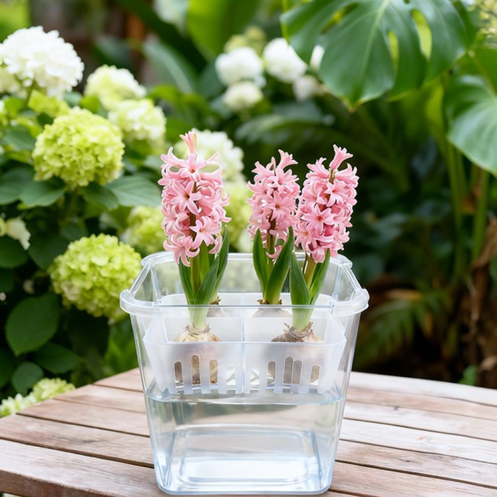 チューリップやユリの球根を植えるための、透明な水耕栽培用花瓶 - Vase Decor のレビューと価格