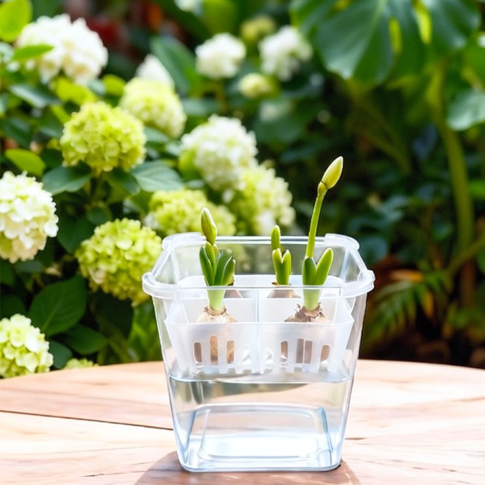 チューリップやユリの球根を植えるための、透明な水耕栽培用花瓶 - Vase Decor のレビューと価格