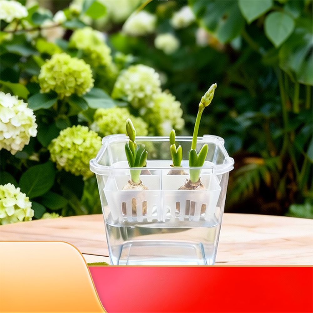 チューリップやユリの球根を植えるための、透明な水耕栽培用花瓶 - Vase Decor のレビューと価格